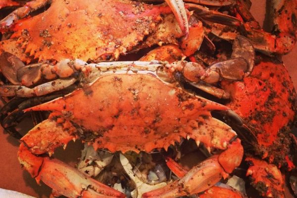 crab-feast