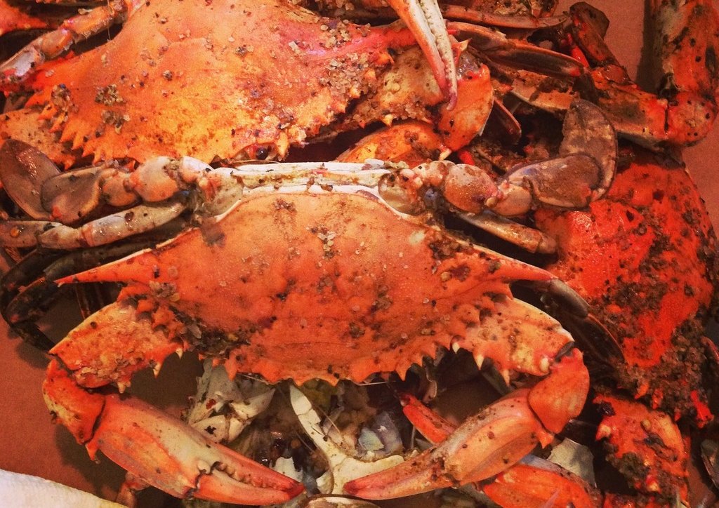 crab-feast