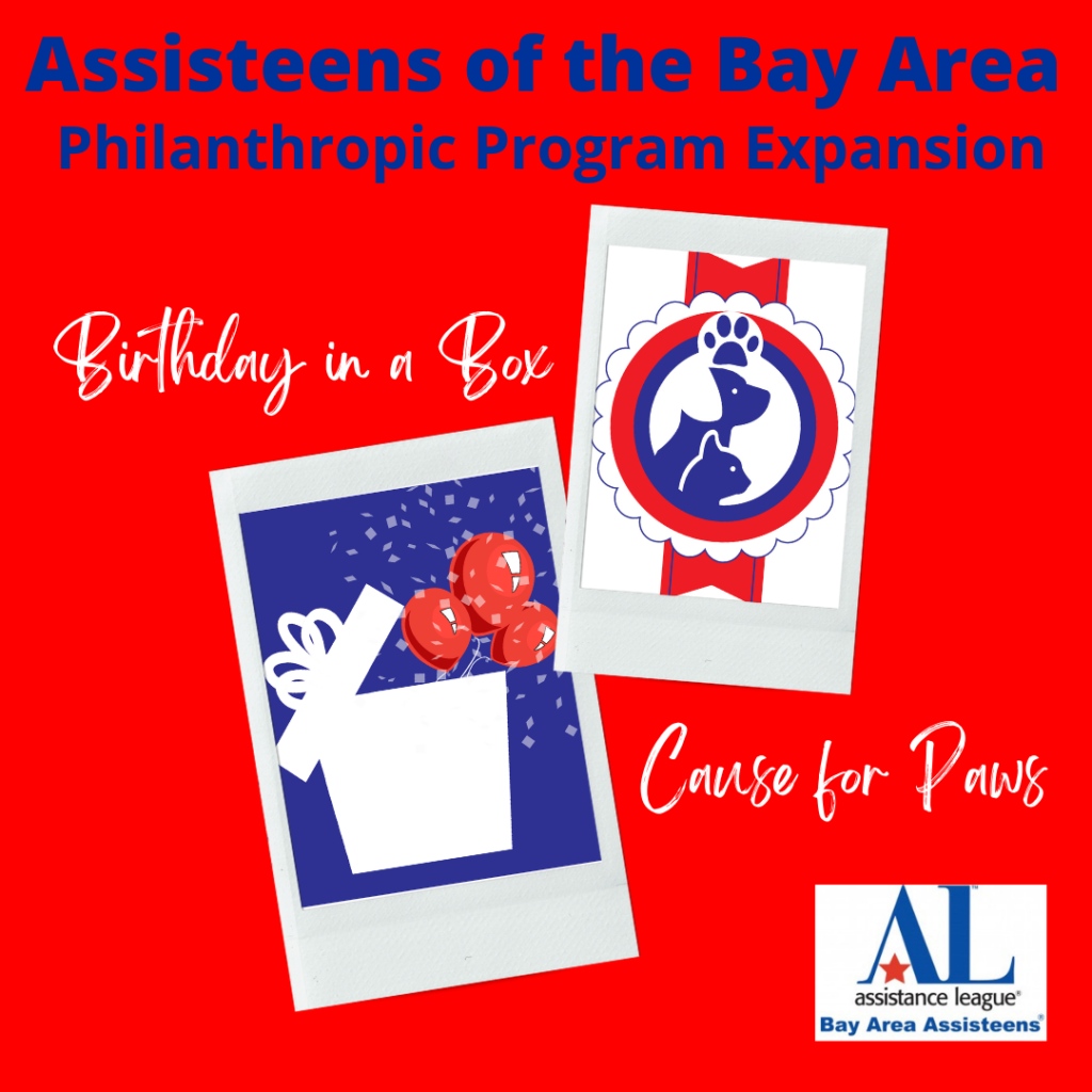 Assisteens Membership Approves Birthday in a Box and Cause for Paws Program Expansion