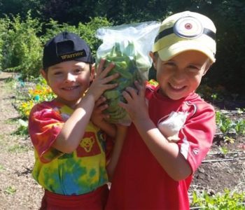 Kids growing organic lettuce