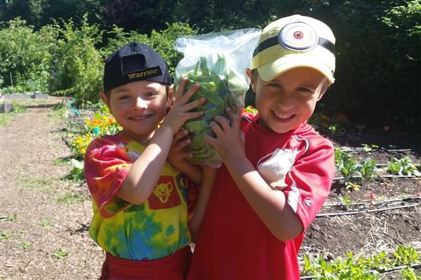 Kids growing organic lettuce