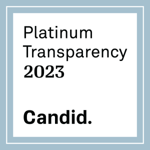Platinum Transparency 2023