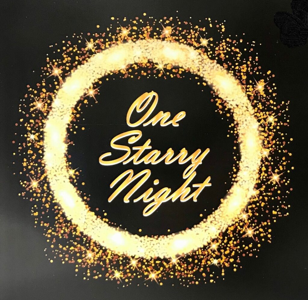 Starry Night Gala 2023