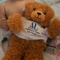 Las Felices HugABear Cropped Las Felices HugABear Cropped