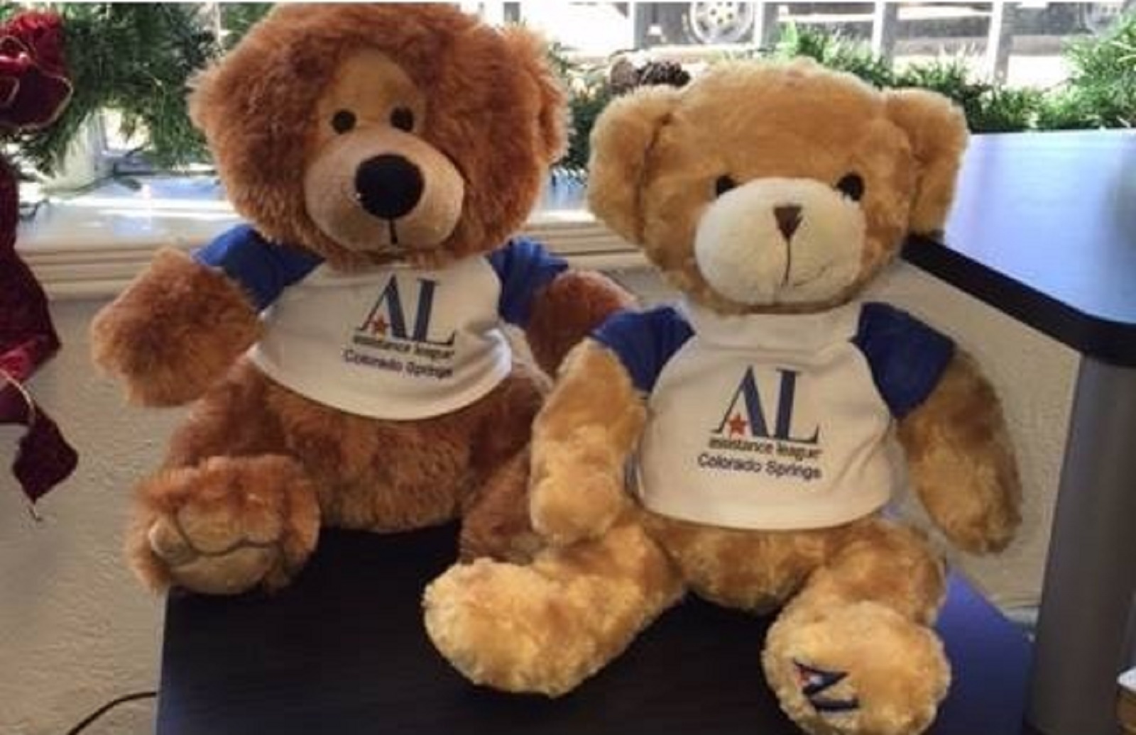 Buddy Bear | Assistance League – Colorado Springs