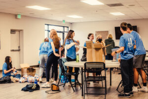 Assisteen Workroom for Aldo Bears