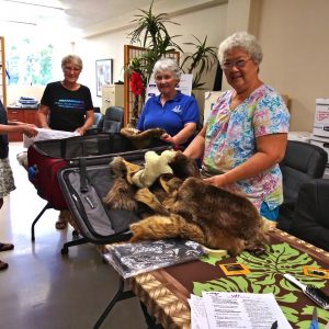 OWL-09-2018-1 OWL-09-2018-1