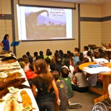 Students love our new OWL slideshow which features a lot of information on endangered species, habitat and changes in our environment.