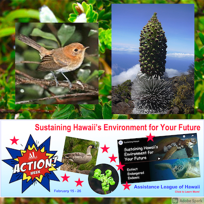 Sustaining2 Sustaining Hawaii Banner Box