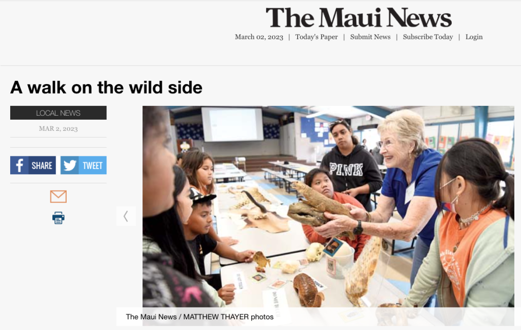 The Maui News screenshot