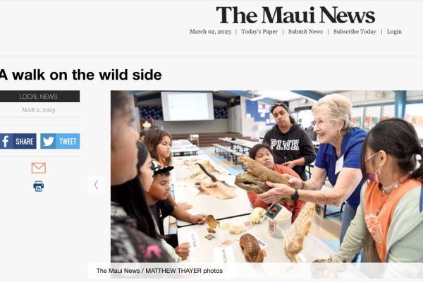 The Maui News screenshot