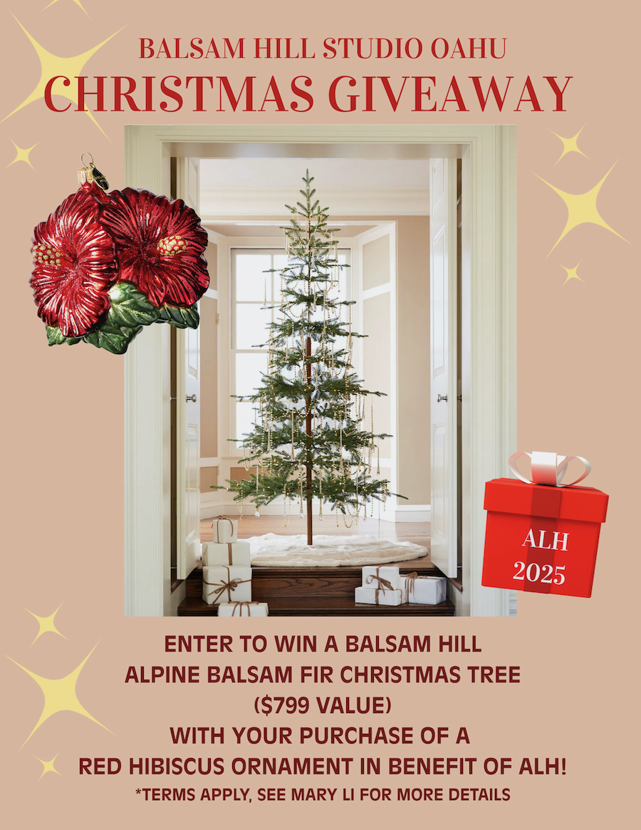 Balsam Hill Studios promotion