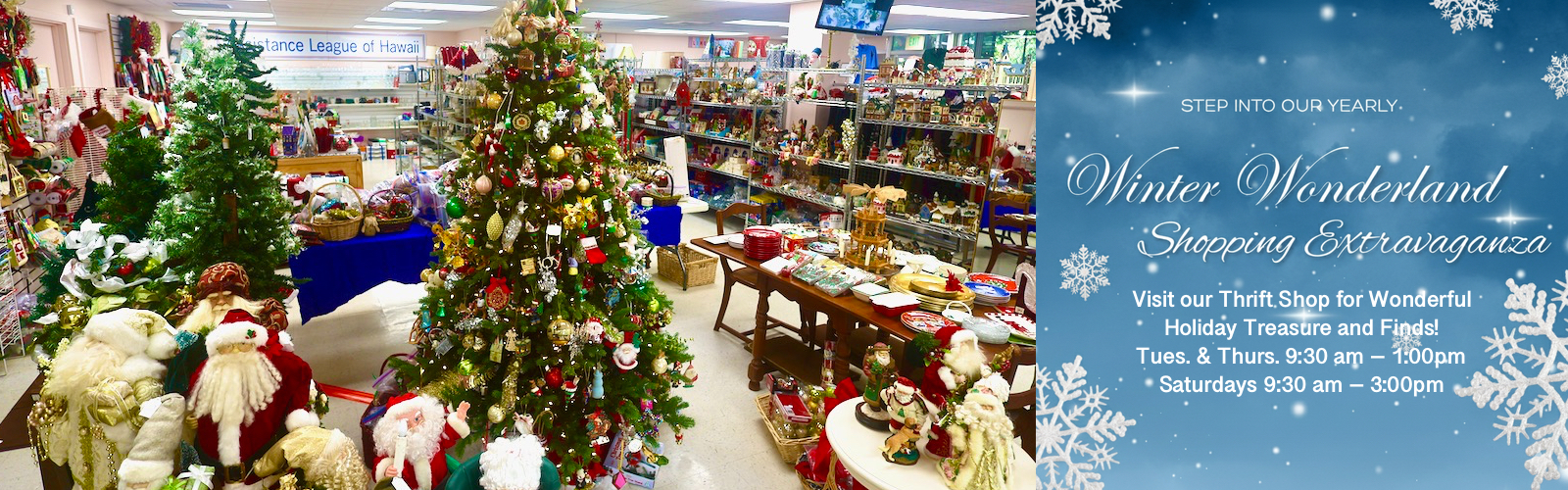 Winter Wonderland Shopping Experience