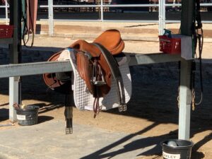 IMG_8870