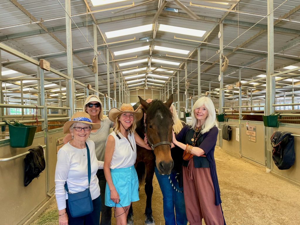 Shea Therapeutic Riding Center Visit