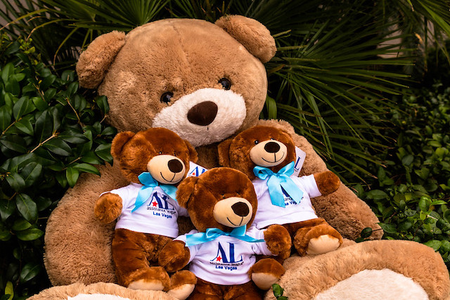 Operation Bear Hug - Assistance League of Las VegasAssistance League of ...