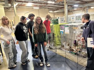 Oceanside Animal Shelter