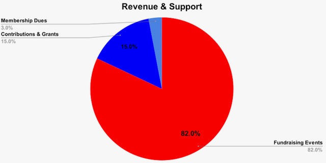 pie chart 1