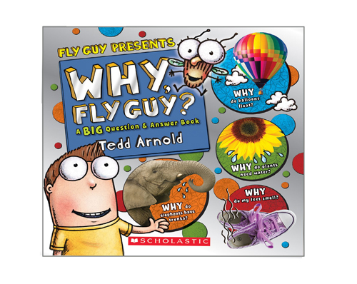 Why Fly Guy" Book Cover