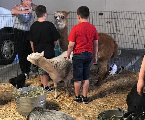 Assist-a-Shelter Petting Zoo at Family Supportive Housing