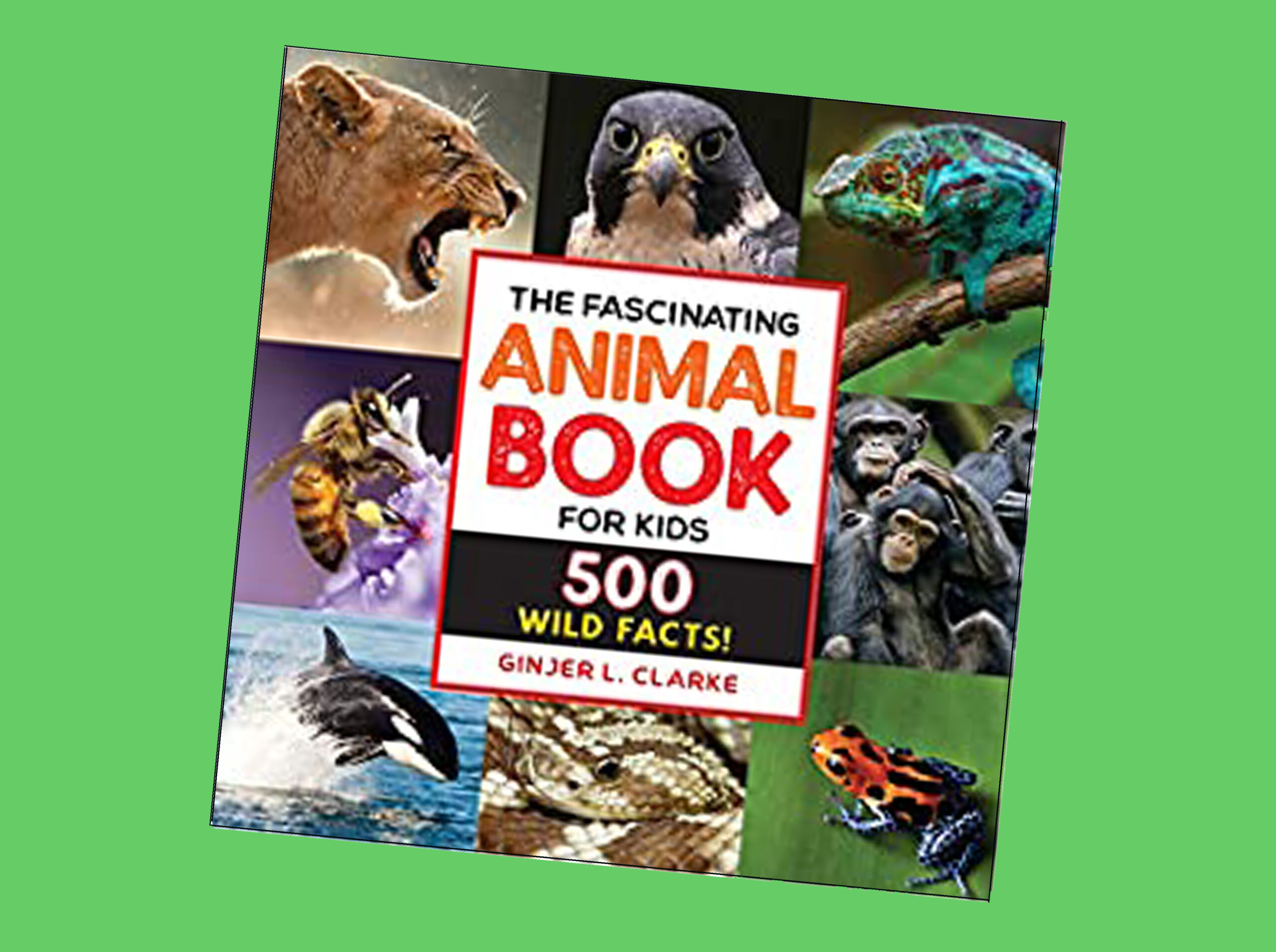 Fascinating Animal Book for Kids