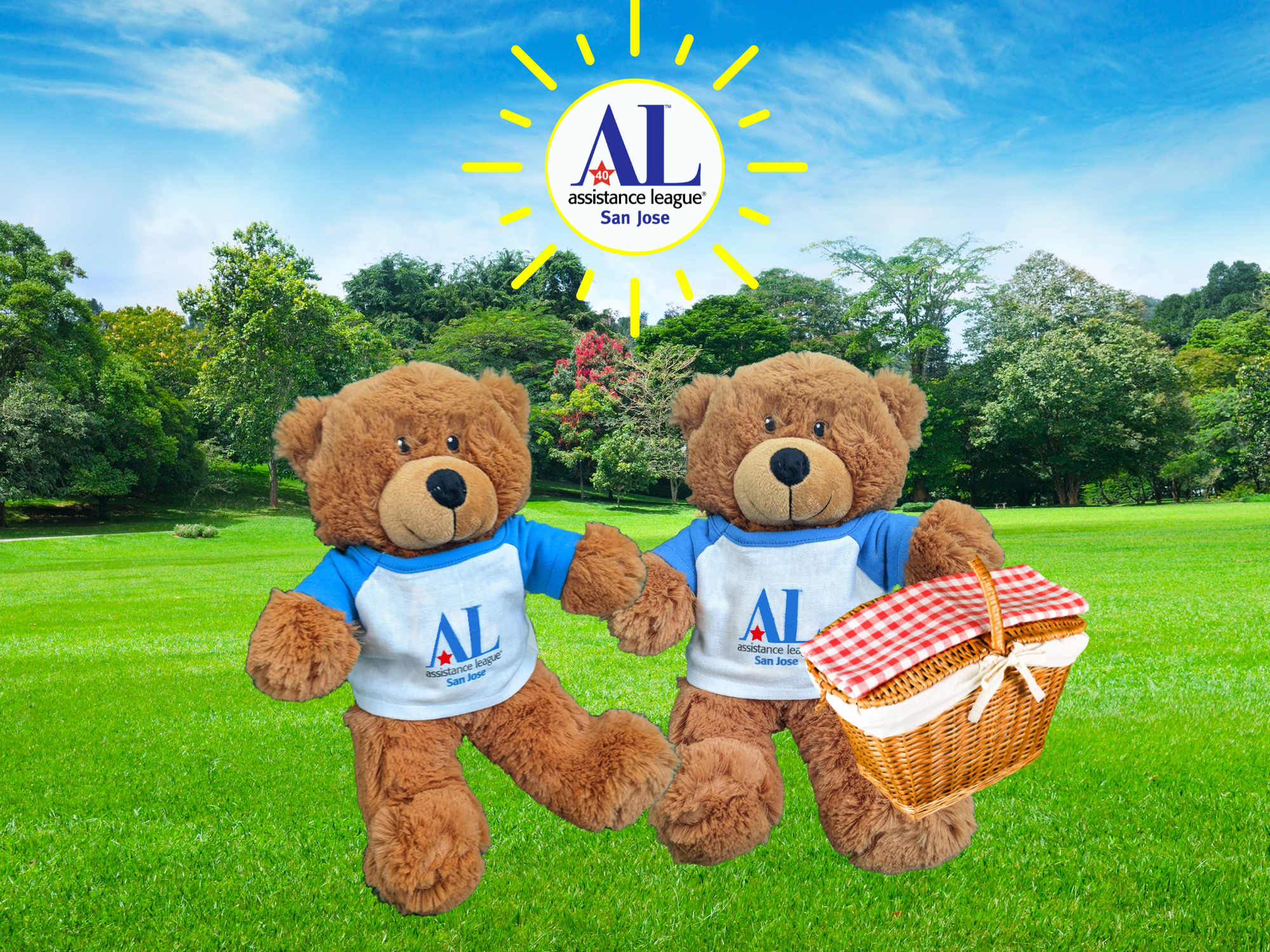 Hug-a-Bears going on a picnic