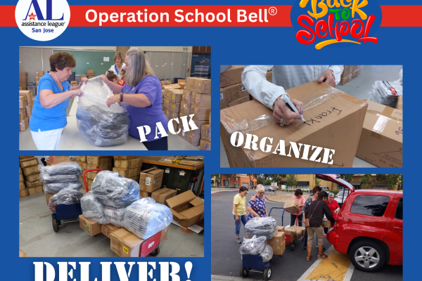 OSB Pack Organize Deliver