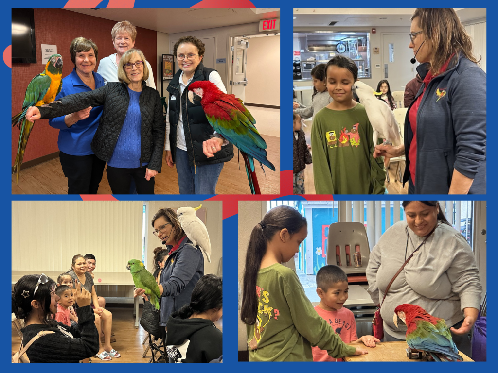 "Happy Birds" Visit Family Supportive Housing Assistance League San