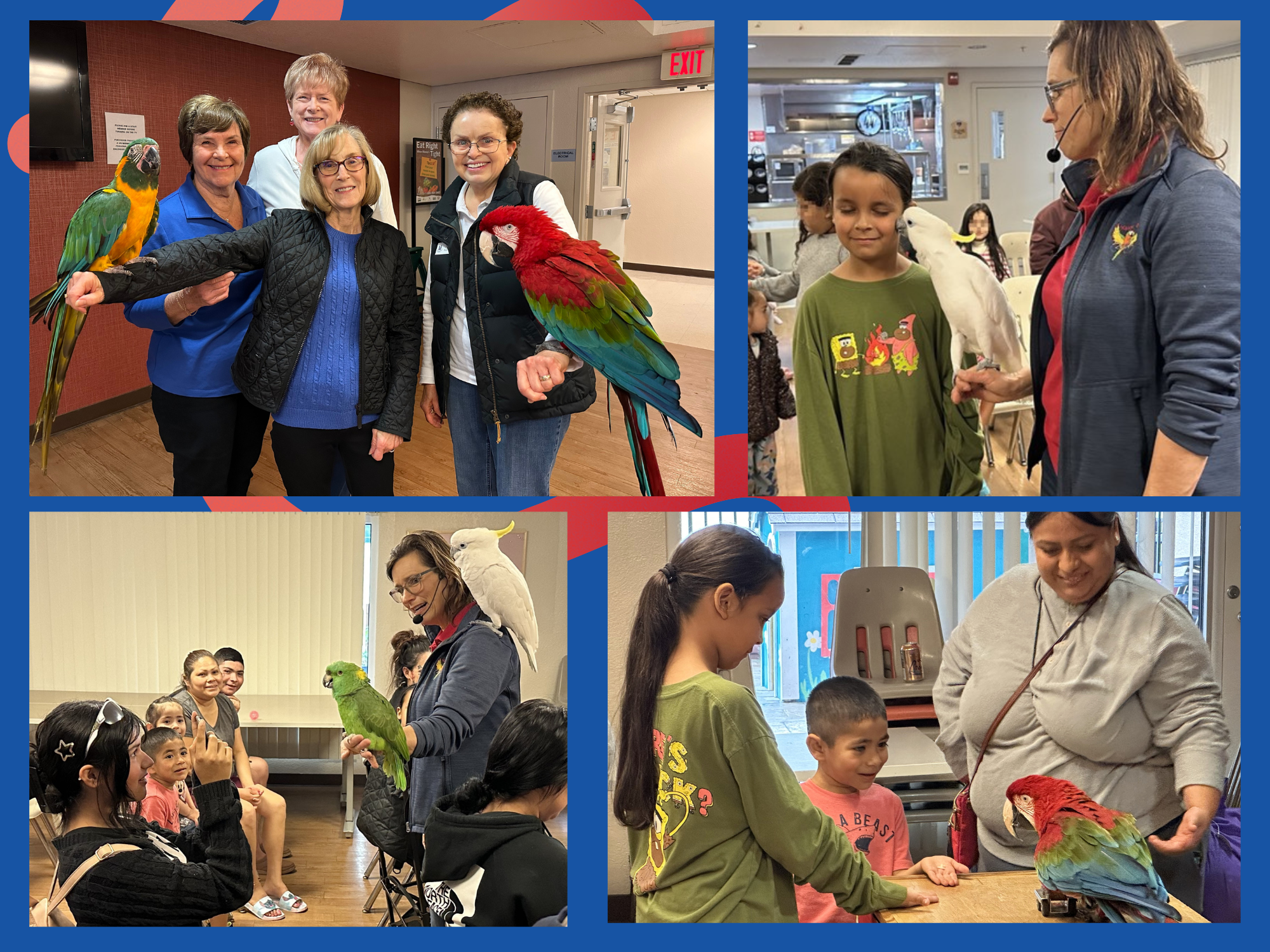 Happy Birds at Family Supportive Housing