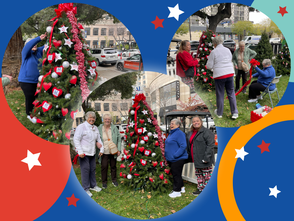 Christmas in the Park