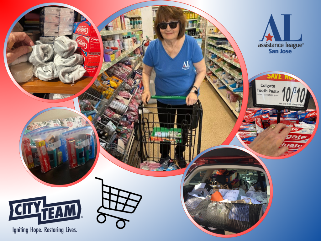 Shopping for Toiletries