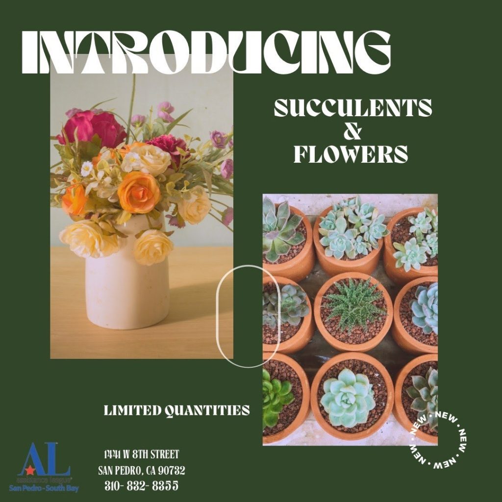 Introducing Succulents & Flowers to the Gift Shop