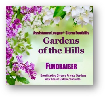 garden of hills