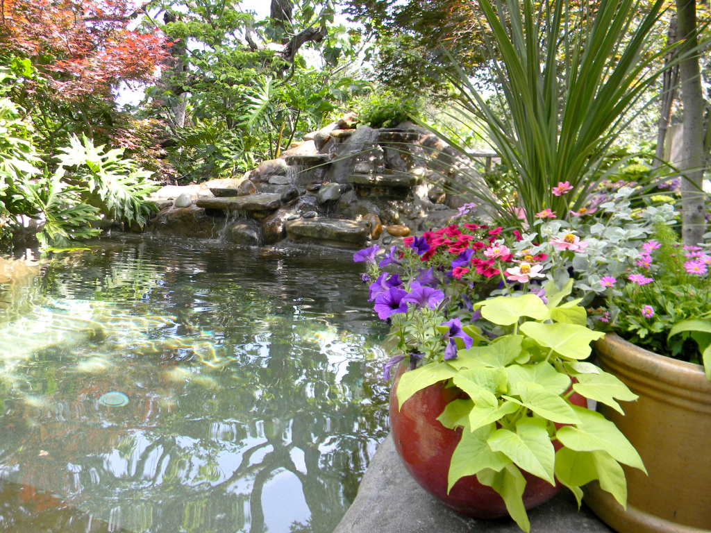 Steve and Shelly Lange's garden in El Dorado Hills features waterfalls and lush flora and fauna. Village Life photos by Noel Stack