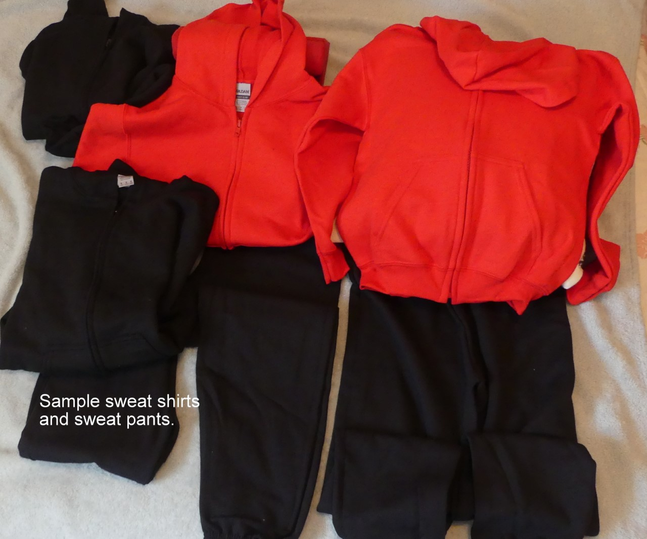 Northern Virginia - Assistance League Fundraiser, Book Fair and Clothing Delivery Success (1)